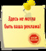 Спасение ёжиков крайнего севера